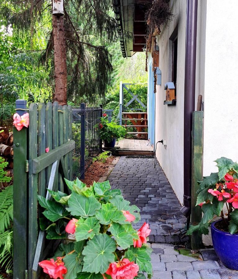 Apartment Apartament Drozdzikowka Zywiec