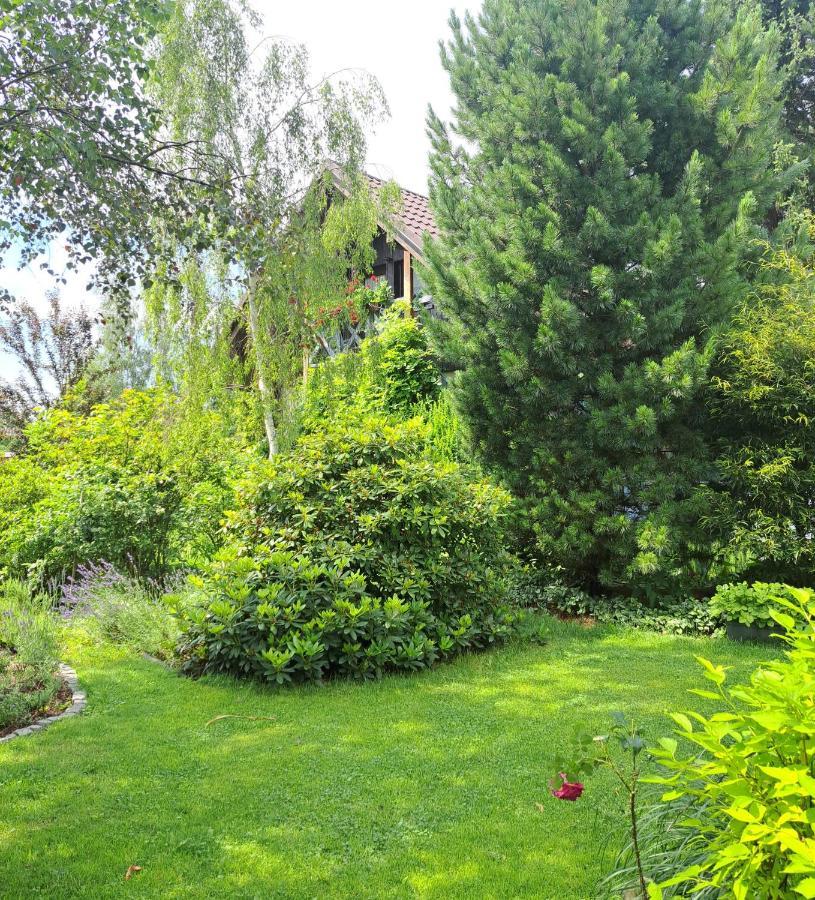 Apartament Apartament Droździkówka *